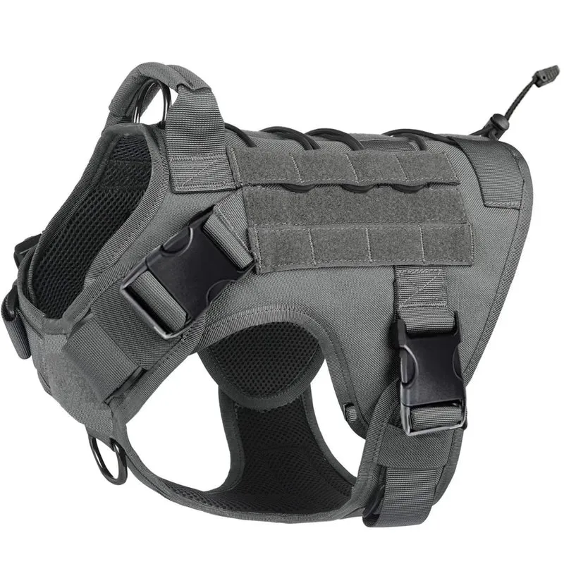 Meilleur harnais chien anti traction