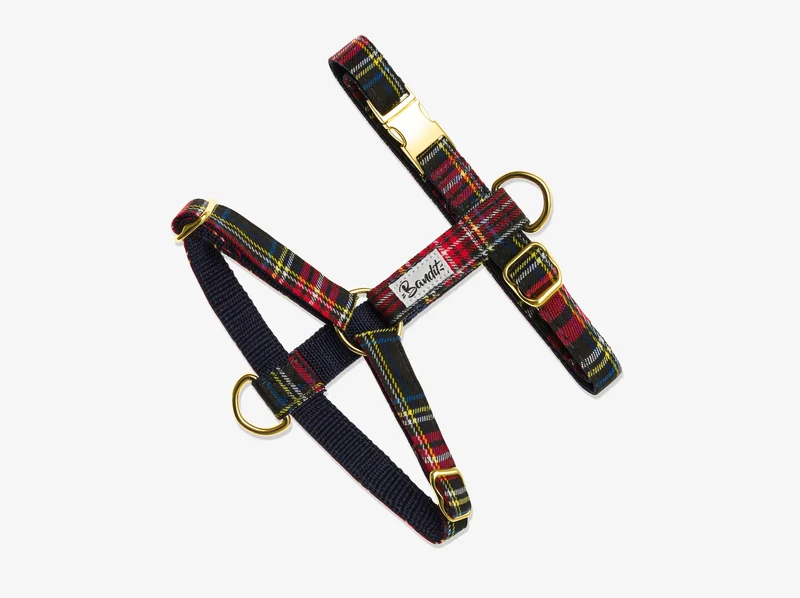 Harnais pour chien tartan