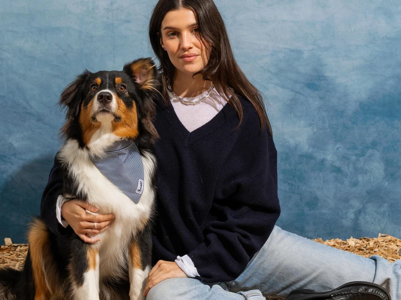 Bandana pour chien rayé bleu et blanc