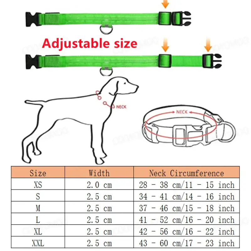 Collier lumineux chien poil long