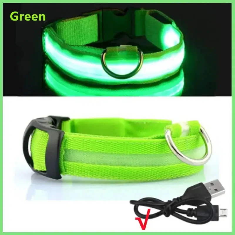 Collier lumineux chien poil long