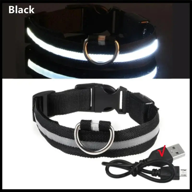 Collier lumineux chien poil long