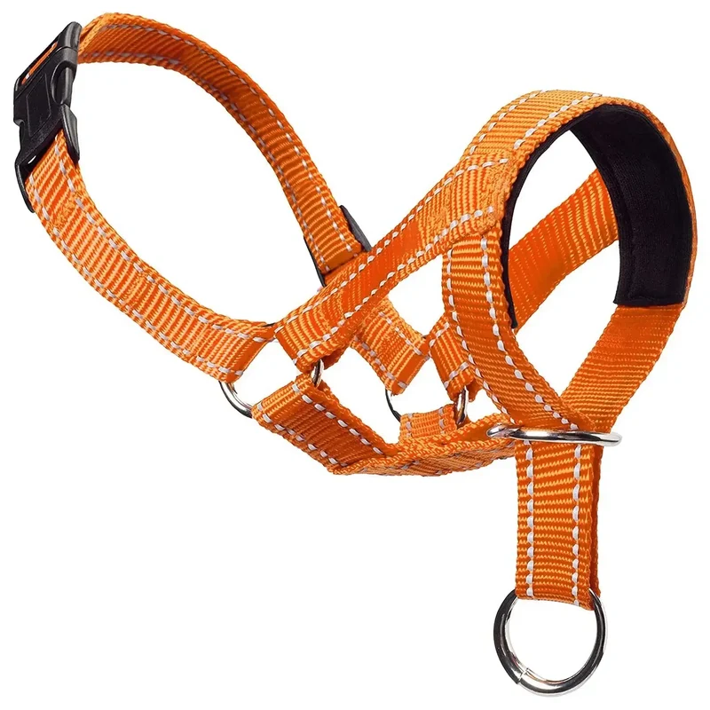 Collier licol pour chien