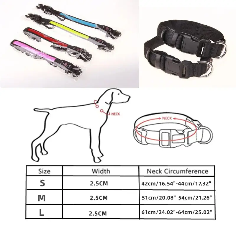 Collier lumineux pour petit chien