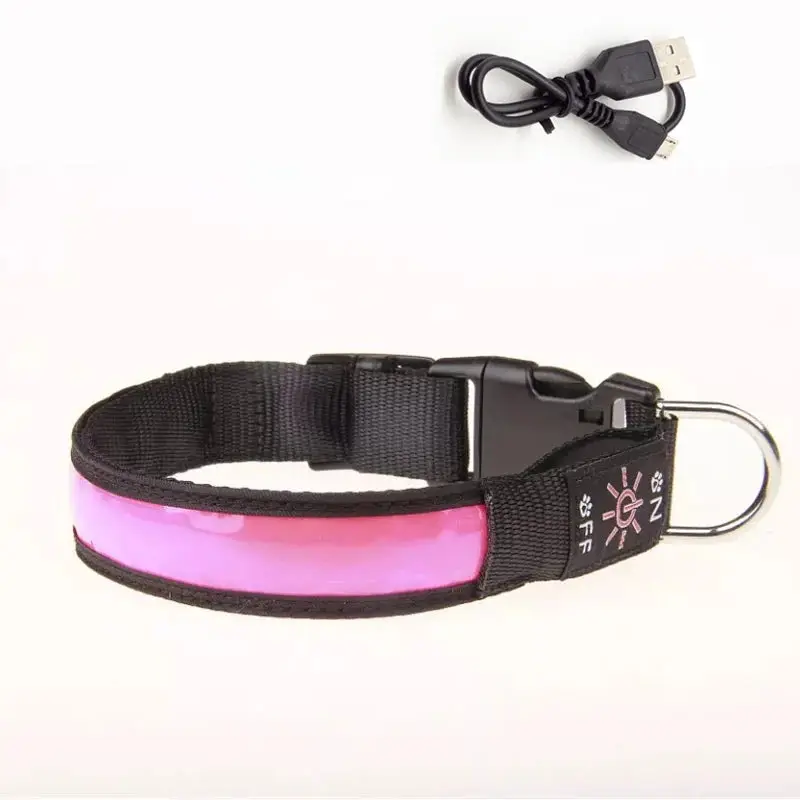 Collier lumineux pour petit chien