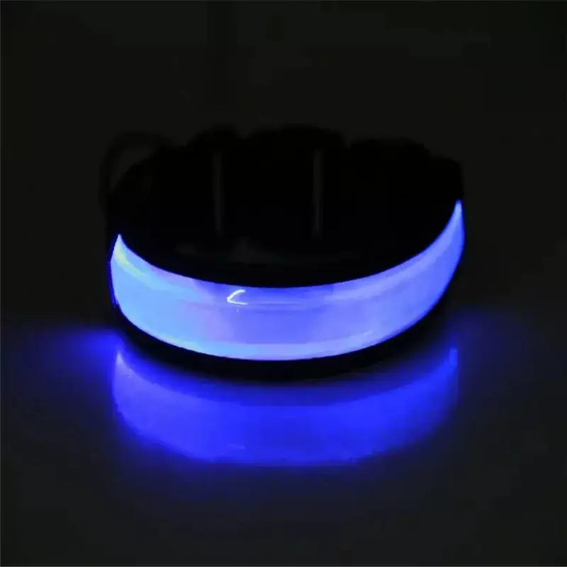 Collier lumineux pour petit chien