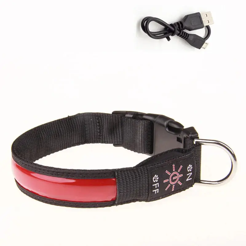Collier lumineux pour petit chien