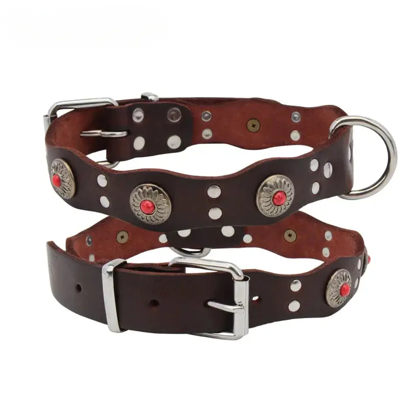 Collier pour chiot rottweiler