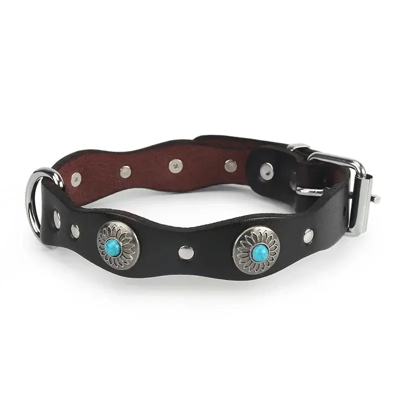 Collier pour chiot rottweiler