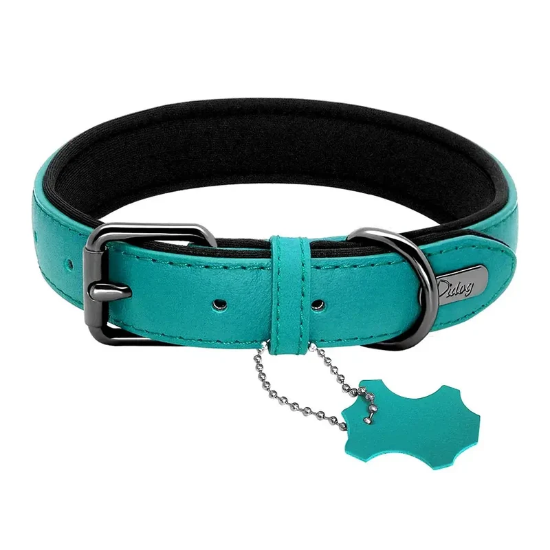 Collier pour gros chien cuir