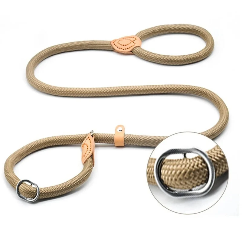 Laisse lasso avec frein