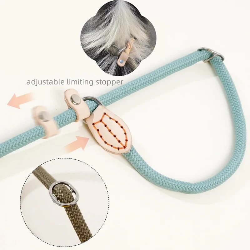 Laisse lasso avec frein