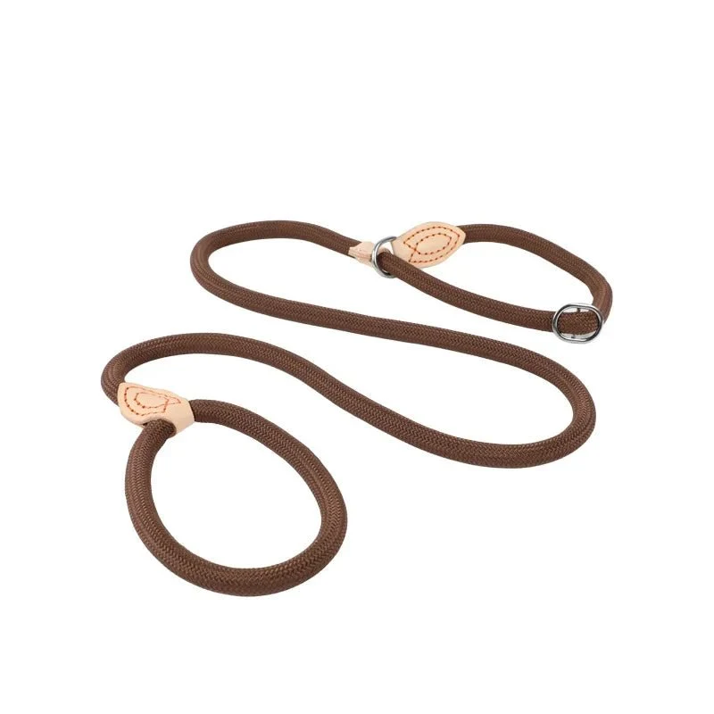 Laisse lasso avec frein