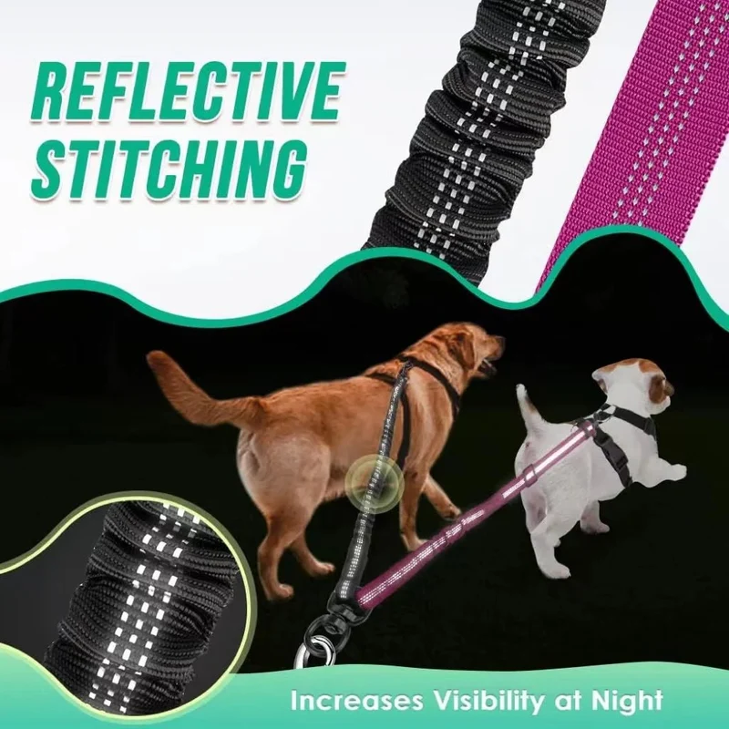 Laisse double pour chien qui tire