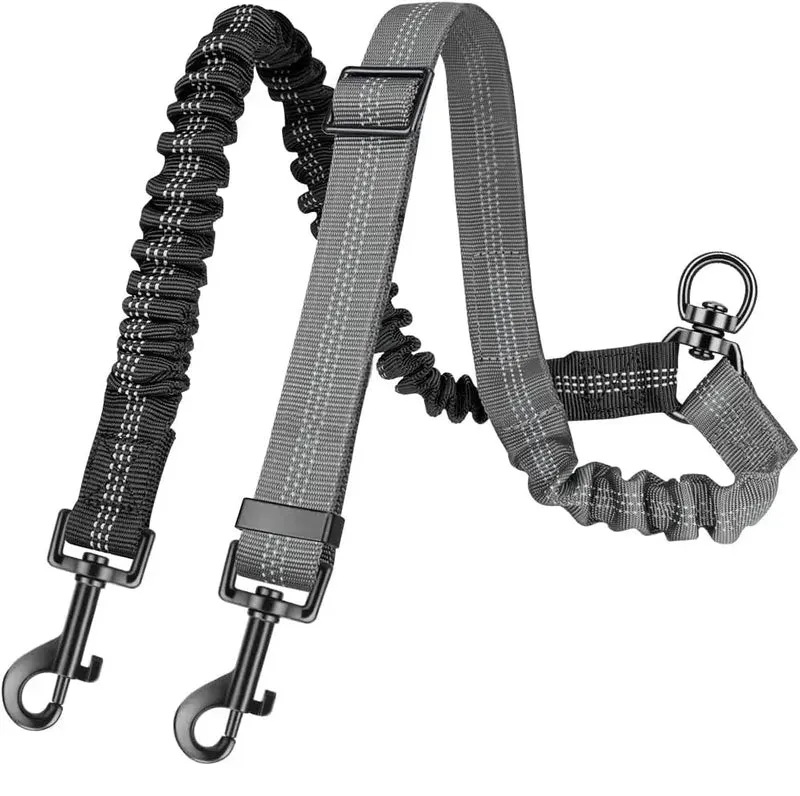Laisse double pour chien qui tire