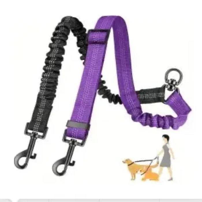 Laisse double pour chien qui tire