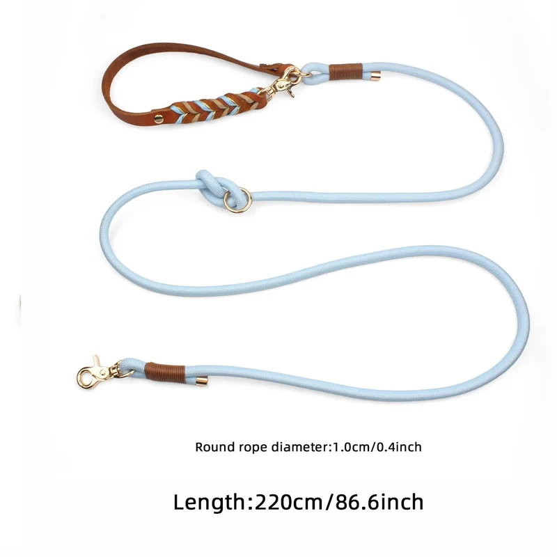 Laisse lasso pour gros chien