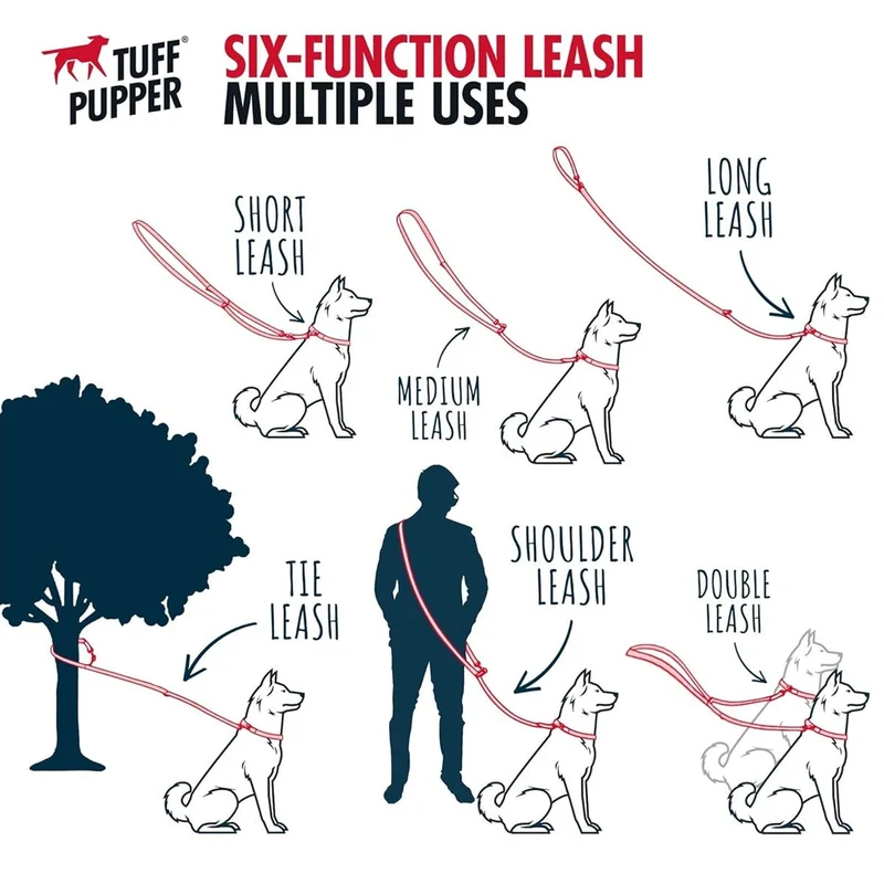 Laisse lasso pour gros chien