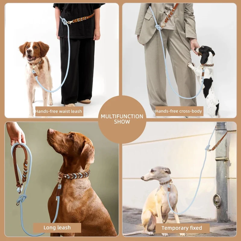 Laisse lasso pour gros chien