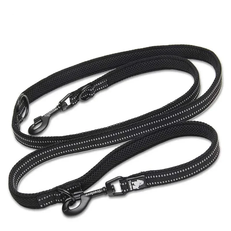 Laisse lasso dressage