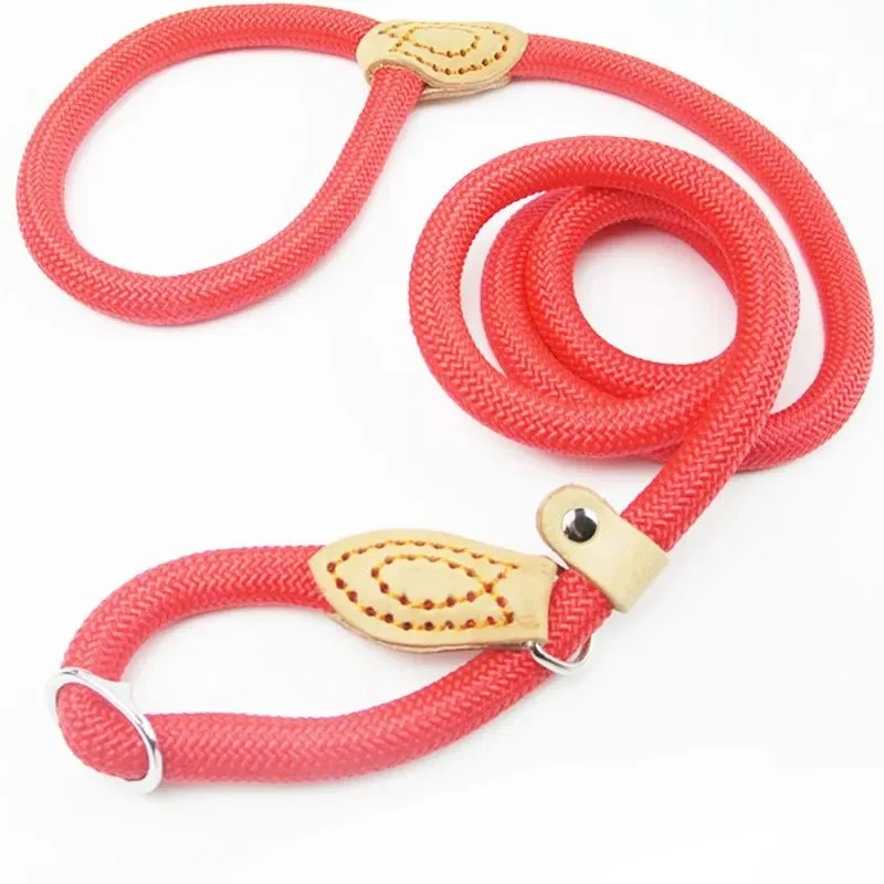 Laisse lasso chiot