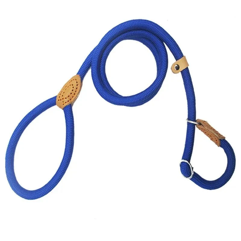 Laisse lasso chiot