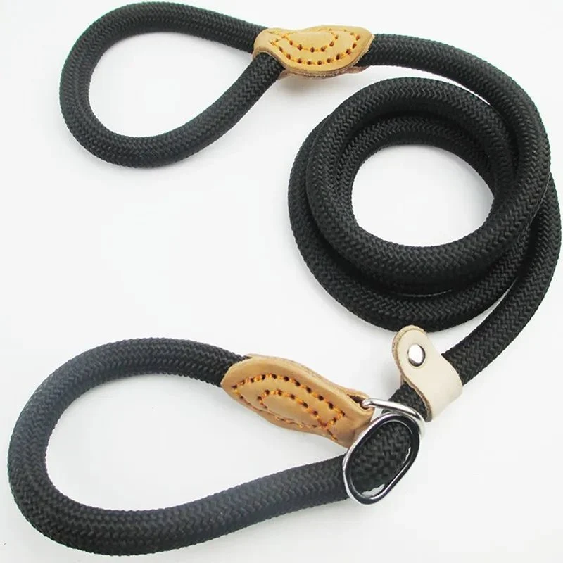 Laisse lasso chiot