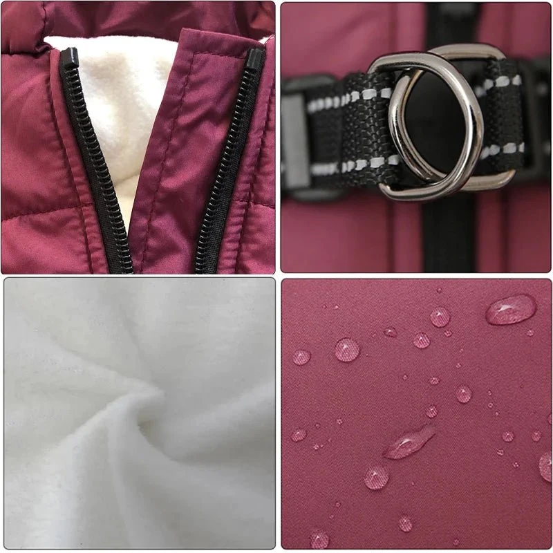 Manteau pour petit chien avec harnais intégré