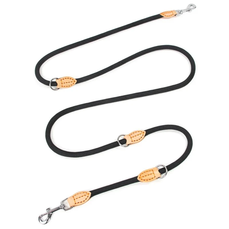Laisse double attache pour chien