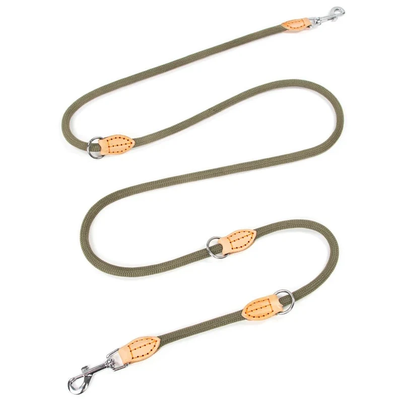 Laisse double attache pour chien