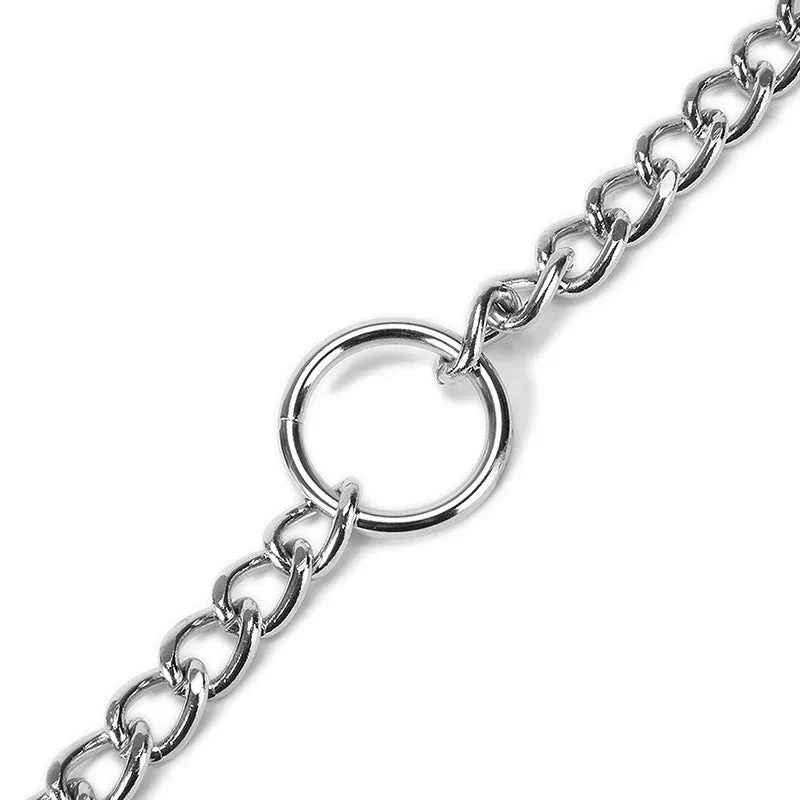 Laisse pour chien double mousqueton
