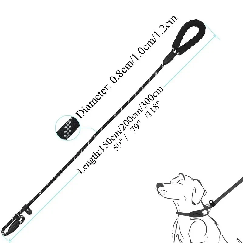 Laisse chien corde 2m