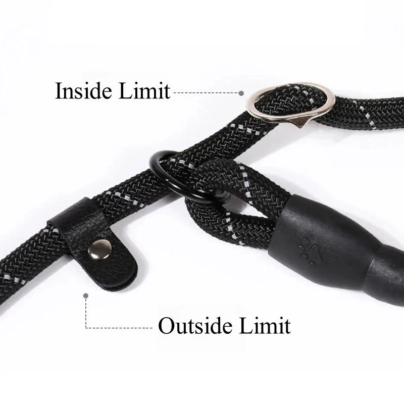 Laisse chien corde 2m