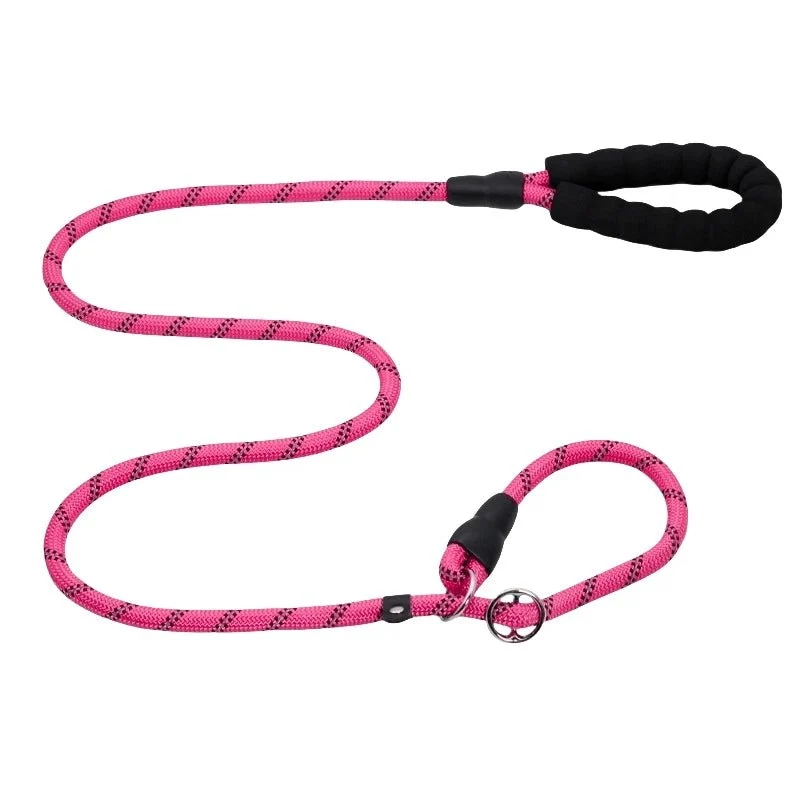Laisse chien corde 2m