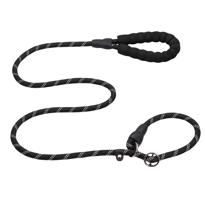 Laisse chien corde 2m