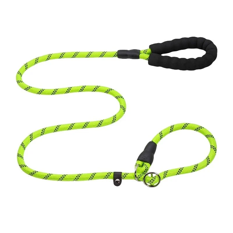Laisse chien corde 2m