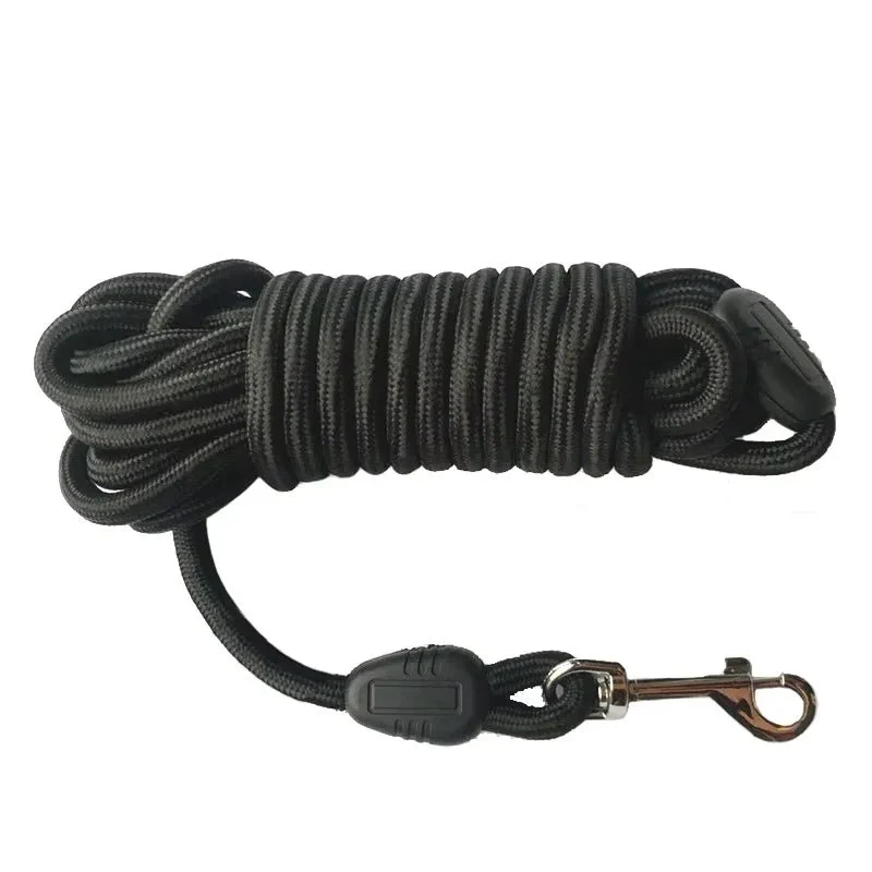 Laisse chien corde 10m