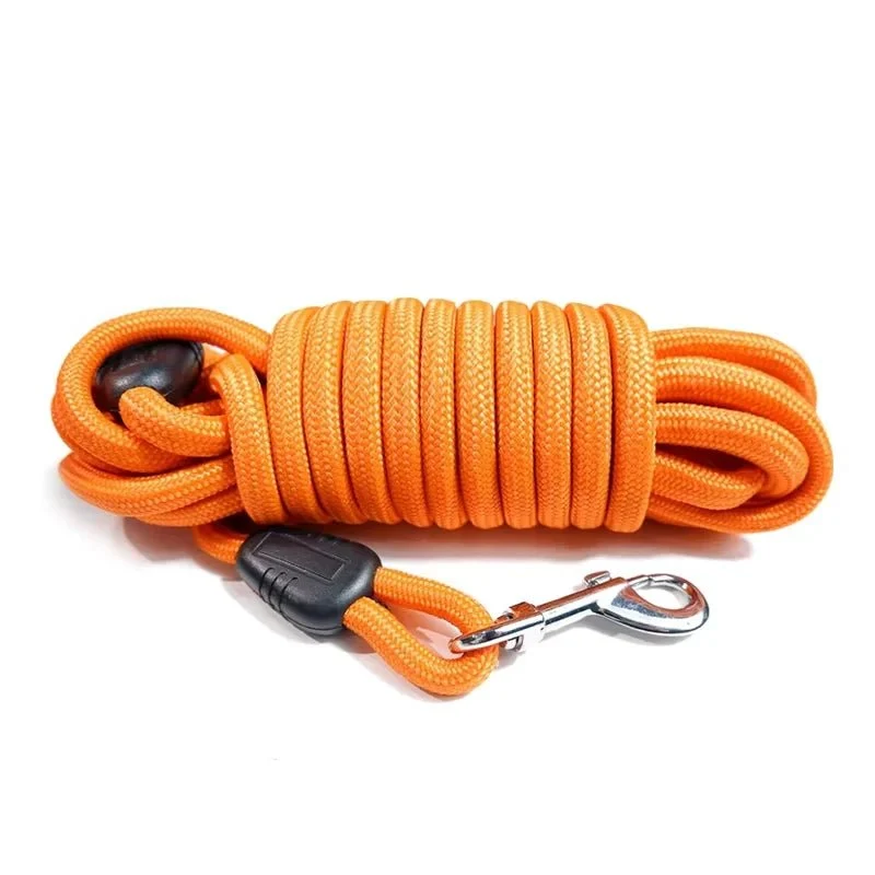 Laisse chien corde 10m