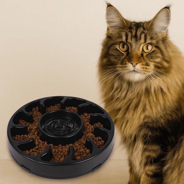 Gamelle anti glouton - Repas lent avec eau - WhiskerPause™