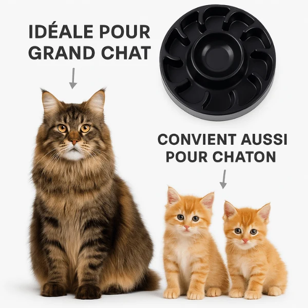 Gamelle anti glouton - Repas lent avec eau - WhiskerPause™