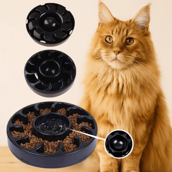 Gamelle anti glouton - Repas lent avec eau - WhiskerPause™