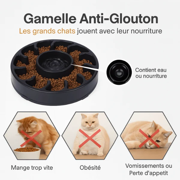 Gamelle anti glouton - Repas lent avec eau - WhiskerPause™