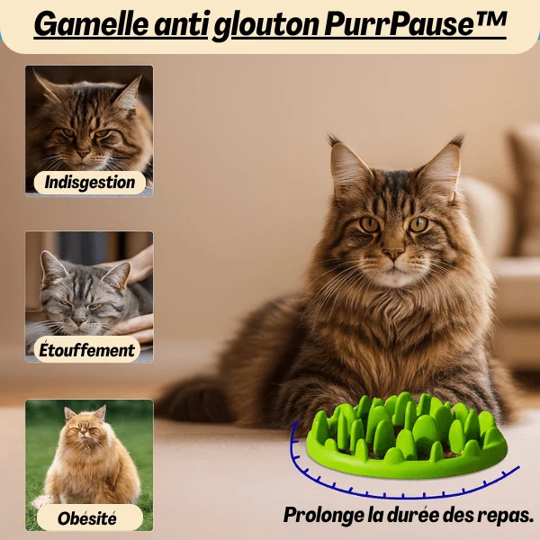 Gamelle anti glouton - Picots stimulants ralentissement - PurrPause™