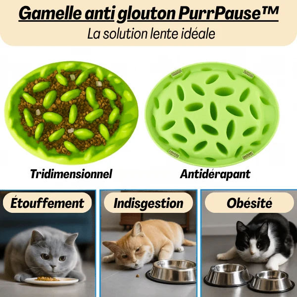 Gamelle anti glouton - Picots stimulants ralentissement - PurrPause™