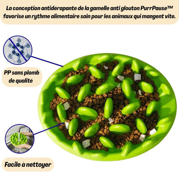 Gamelle anti glouton - Picots stimulants ralentissement - PurrPause™