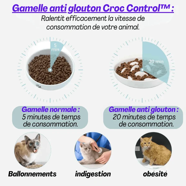 Gamelle anti glouton - Surélevée bois céramique - Croc Control™