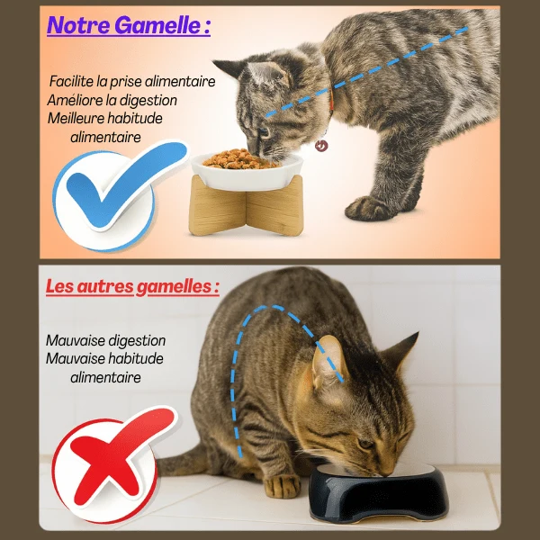 Gamelle anti glouton - Surélevée bois céramique - Croc Control™