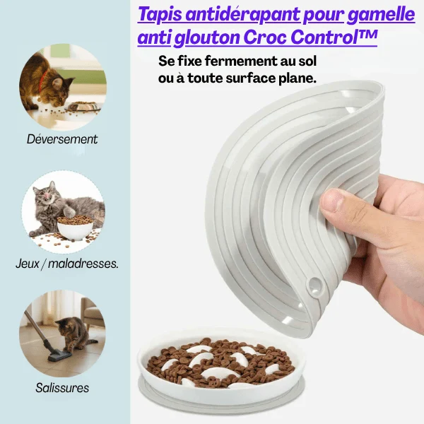 Gamelle anti glouton - Surélevée bois céramique - Croc Control™