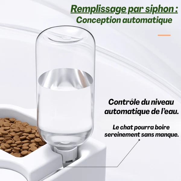 Gamelles chat d'angle - Poly Station™ : eau et croquettes