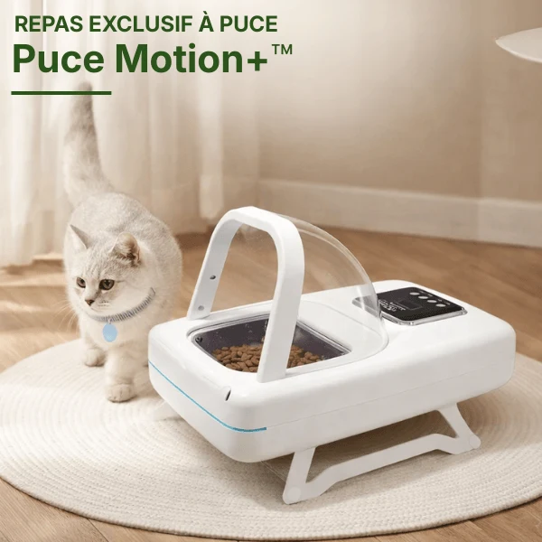 Gamelle chat automatique puce toutes options - Puce Motion+™